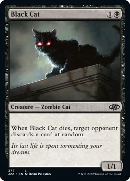 Black Cat [J22 - 377]