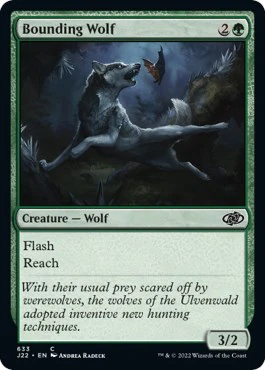 Bounding Wolf [J22 - 633]